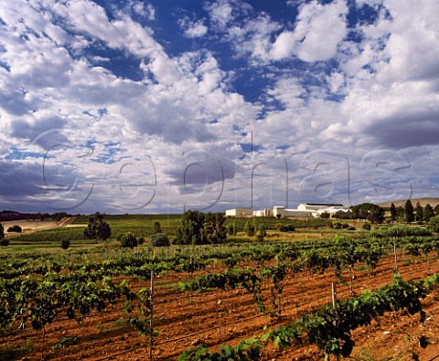 Annies Lane vineyard and winery Watervale South Australia Clare Valley