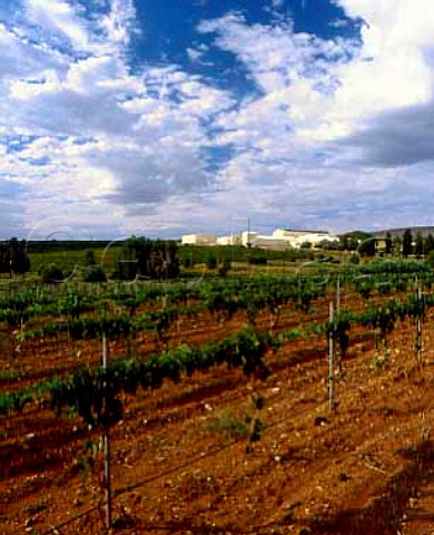 Annies Lane vineyard and winery Watervale   South Australia    Clare Valley