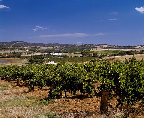 Annies Lane vineyard Watervale South Australia    Clare Valley