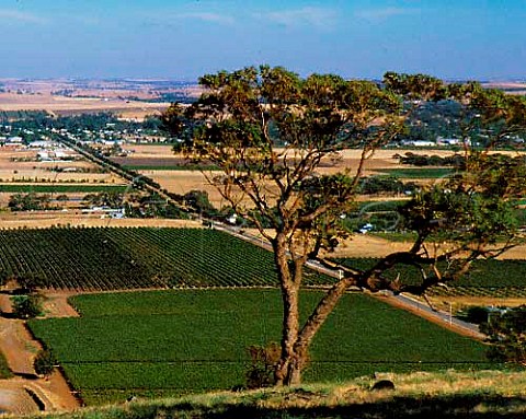 View from Mengler Hill westwards over the Barossa   Valley to Tanunda South Australia