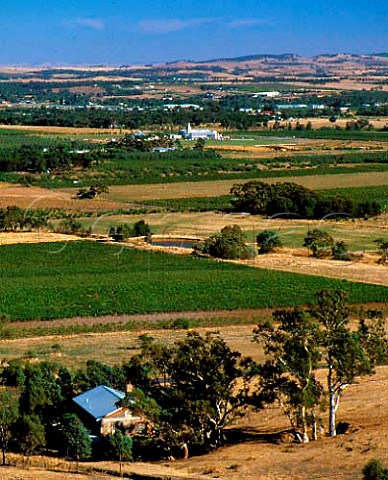 View from Mengler Hill over the Barossa Valley to   Nuriootpa   South Australia