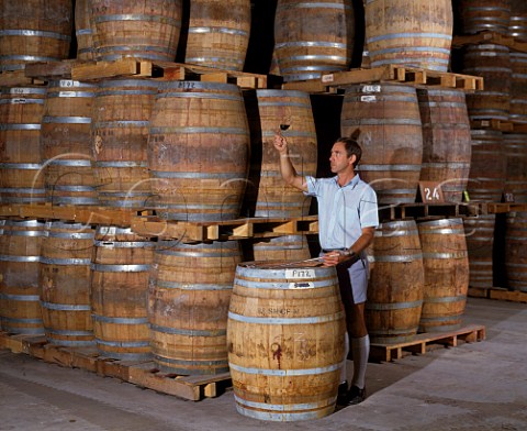 Barrel tasting in cellar of Yalumba Winery Angaston South Australia    Barossa Valley