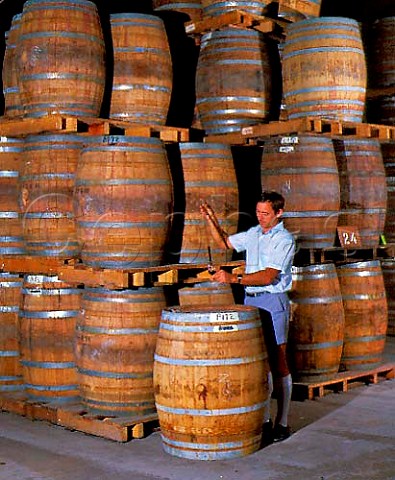 Winemaker taking sample of Cabernet Sauvignon from barrel in winery of Yalumba Angaston South Australia Barossa Valley