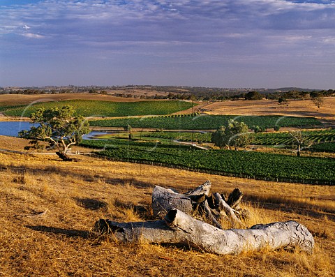 Mountadam vineyards at an altitude of around 600 metres on the High Eden Ridge in the South Mount Lofty Ranges Eden Valley South Australia Eden Valley