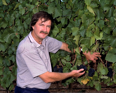 Brian Croser in 1990 with Pinot Noir vines in  his Tiers Vineyard The canopy is held aloft by catch  wires to give maximum exposure to the sun Piccadilly Valley South Australia  Adelaide Hills