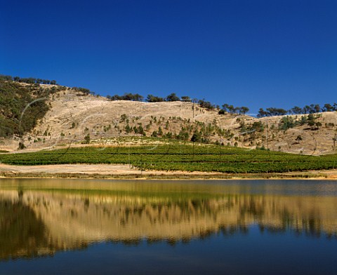 Taltarni Vineyards in the hills of the Great   Dividing Range at Moonambel Victoria Australia    Pyrenees