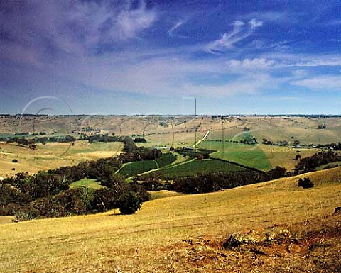 Tarcoola Vineyard in a bend of the Moorabool River   near Lethbridge Victoria Australia    Geelong