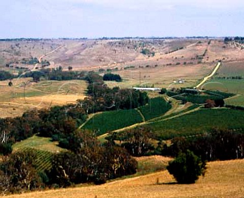 Tarcoola Vineyard in bend of the Moorabool River   Lethbridge Victoria Australia    Geelong