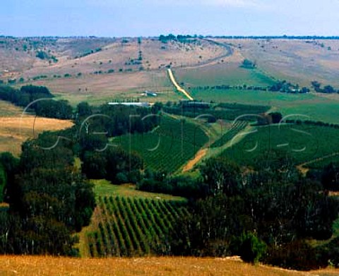 Tarcoola Vineyard in bend of the Moorabool River   Lethbridge Victoria Australia    Geelong