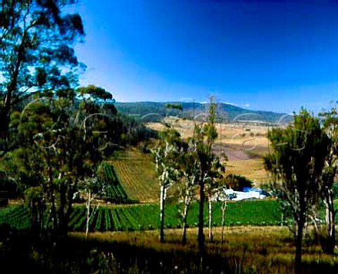 Freycinet Vineyard Bicheno Tasmania Australia