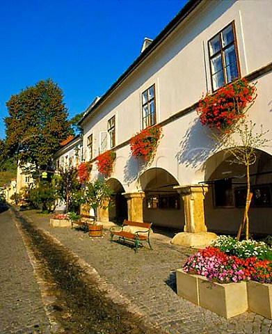 Early morning washing of street in the wine town of   Gumpoldskirchen Niedersterreich Austria       Thermenregion