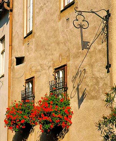 Window boxes in Gumpoldskirchen Niedersterreich    Austria  Thermenregion