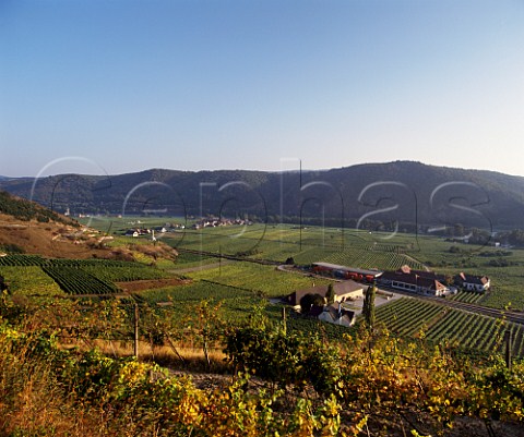 The Freie Weingartner cooperative surrounded by  vineyards at Durnstein with the village of  Oberloiben and the River Danube beyond  Austria   Wachau