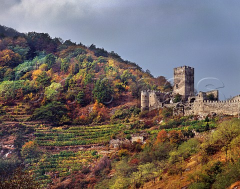 Hinderhaus Castle and vineyard at Spitz an der Donau Niedersterreich Austria Wachau