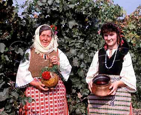 Women in traditional dress in Chardonnay vineyard at   Blatetz BulgariaThe copper vessel and flask both   containing wine are traditional ways for pickers to   slake their thirst  SubBalkan region