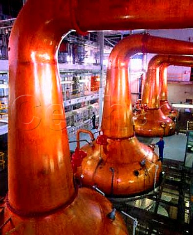 The Still Room of Midleton Distillery   Jameson and other Irish Distillers brands are made here   Midleton County Cork Eire