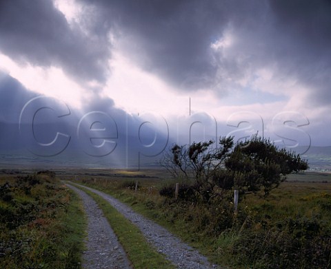 Stormy weather over the Dingle Peninsula   County Kerry Ireland