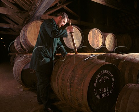 Taking a sample from a barrel of malt whiskey  ex sherry butt using a copper valinche   Old Bushmills Distillery Bushmills Co Antrim   Northern Ireland