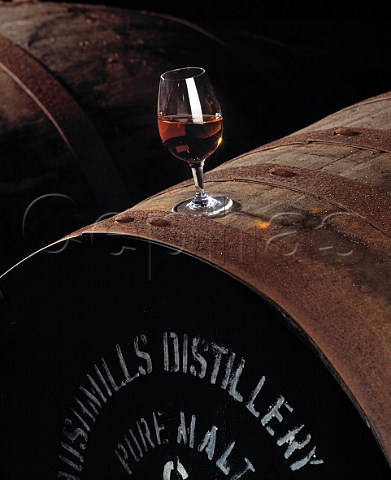 Malt whiskey in a nosing glass Old Bushmills   Distillery Bushmills Co Antrim Northern Ireland