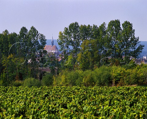 Monte de Tonnerre vineyard Chablis Yonne France  Chablis Premier Cru