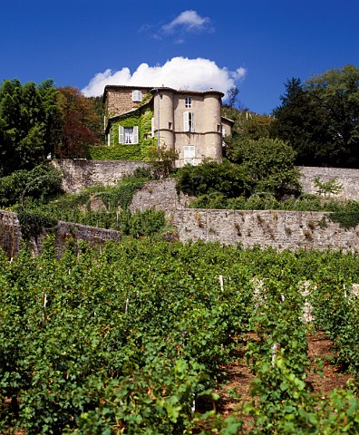 Chteau Grillet above its Viognier vineyard at   Vrin in the Rhne valley   Loire France      Chteau Grillet