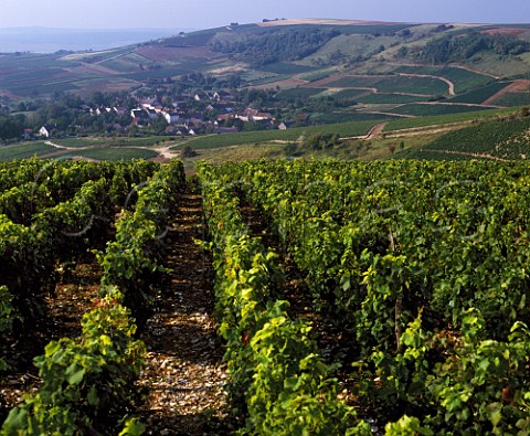 Vineyards above villages of Bu and Venoize Cher   France  AC Sancerre