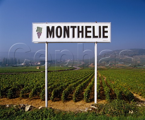 Sign in the vineyards of Monthelie  Cte dOr France  Cte de Beaune
