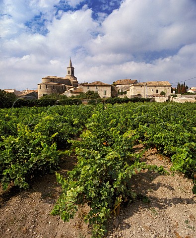Village of Lirac viewed over vineyard Gard France  Lirac  Ctes du RhneVillages