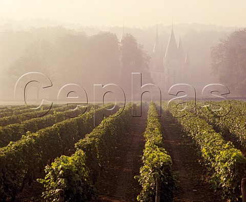 Chteau du Nozet viewed over Sauvignon Blanc  vineyard on a misty harvest morning   PouillysurLoire Nivre France PouillyFum