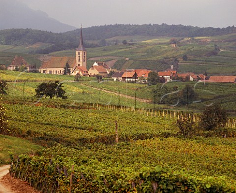 Blienschwiller surrounded by vineyards with the  Vosges mountains beyond  BasRhin France  Alsace
