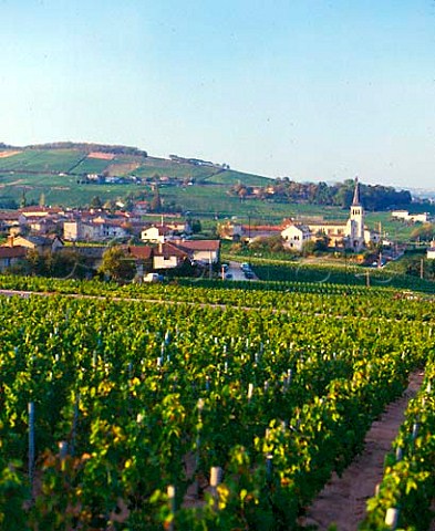 Chnas village and vineyards Beaujolais   Rhne France MoulinVent  Beaujolais