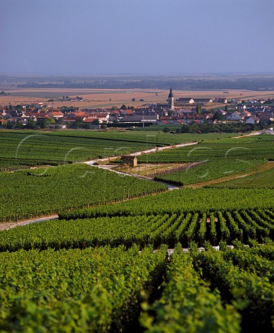 Village of Bouzy viewed over its vineyards with the   Marne Valley in the distance  Marne France     Champagne  Bouzy