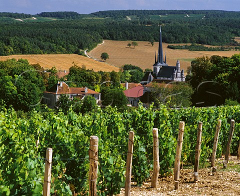 Vineyard at RiceysBas Les Riceys Aube France Ros des Riceys  Champagne