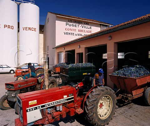 Unloading trailers of Carignan grapes at Cellier StSidoine PugetVille Var France Ctes de Provence