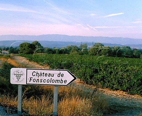 Sign by vineyard of Chteau de Fonscolombe  Le PuySainteRparade BouchesduRhne France   Coteaux dAixenProvence