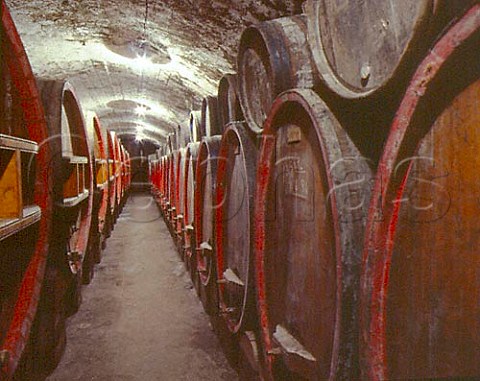 Casks in the cellar of Chateau Fortia Chateauneuf   du Pape