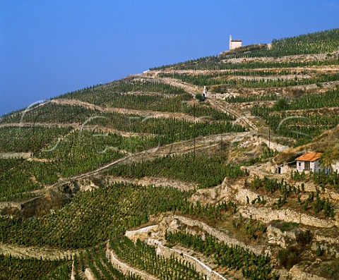 La Chapelle above terraced vineyards on the hill of Hermitage Tain lHermitage Drme France  AC Hermitage