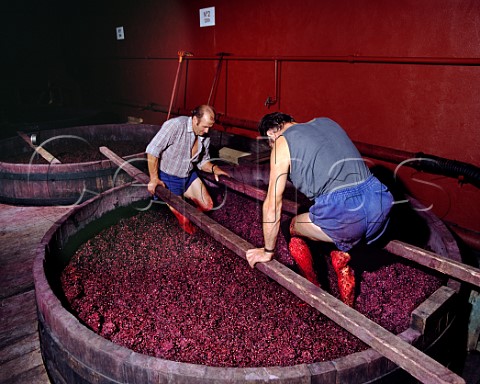 Foulage the traditional method of submerging the   grapeskin cap for the Hermitage wine of M Chapoutier Tain lHermitage Drme France