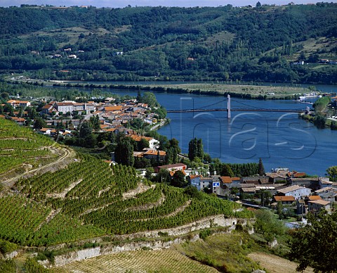 Vineyards above Condrieu and the River Rhne   Rhne France   AC Condrieu