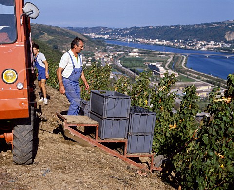 Domaine Guigal use an electric winch to haul their   grapes up the steepest part of the Cte Brune   above Ampuis Rhne France   Cte Rtie