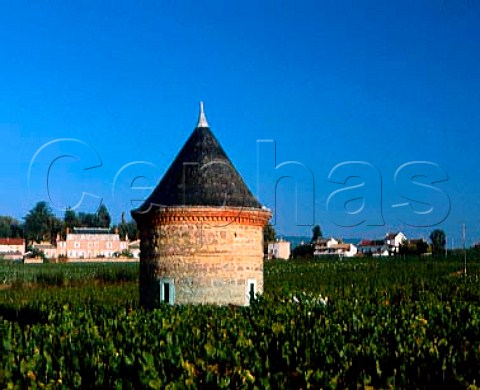 Tower in vineyards at StLager Rhne France  Brouilly  Beaujolais
