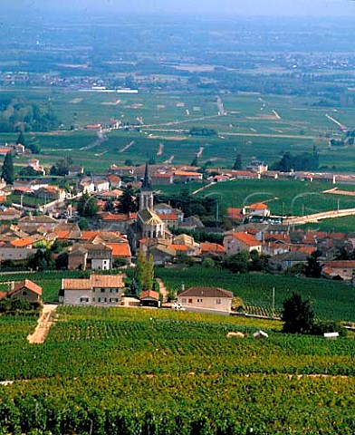 Fleurie viewed from La Madone above the town   Rhne France    Fleurie  Beaujolais