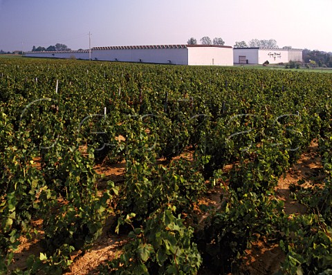 Georges Duboeuf winery RomancheThorins   France     Beaujolais