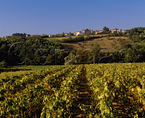 Village of StAmour viewed from vineyards at  Chnes     Beaujolais from Mconnais  SaneetLoire France