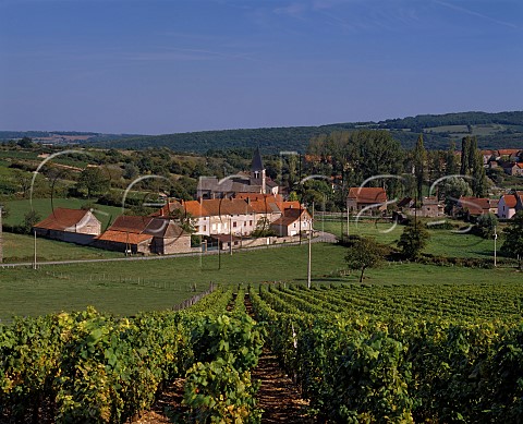 Vineyards at MartaillylsBrancion SaneetLoire France Mconnais