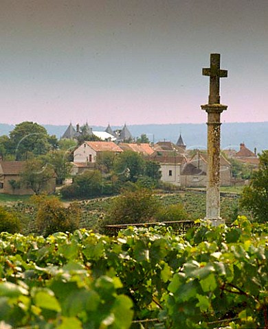 La Mission vineyard of Antonin Rodet overlooking   Chamirey and its chteau near Mercurey    SaneetLoire France  Cte Chalonnaise