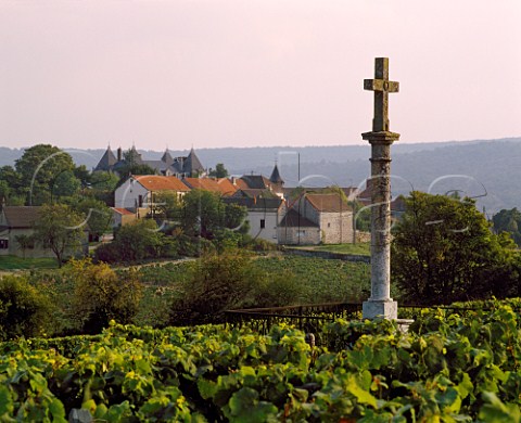 La Mission vineyard and Chteau de Chamirey of Antonin Rodet near Mercurey SaneetLoire France   Cte Chalonnaise
