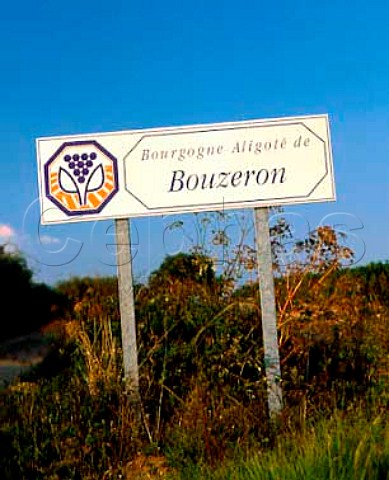 Sign for Bourgogne Aligot de Bouzeron   Bouzeron SaneetLoire France    Cte Chalonnaise