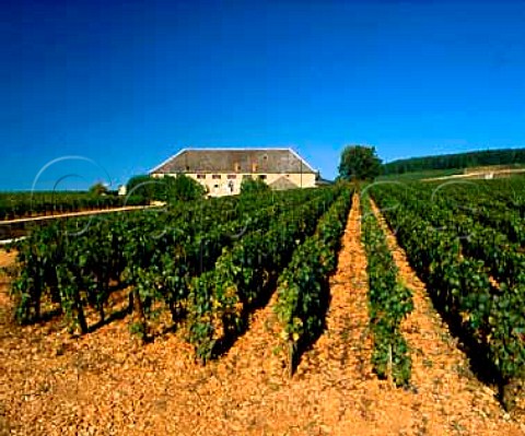 Chteau Grancey of Louis Latour viewed over   Les Grves vineyard AloxeCorton Cte dOr France   Cte de Beaune
