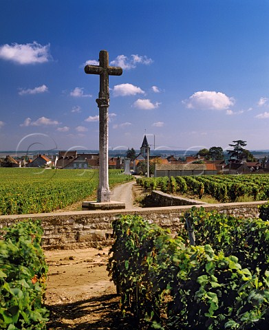 The famous cross at VosneRomane viewed from  RomaneConti vineyard with Romane StVivant beyond Cte dOr France  Cte de Nuits
